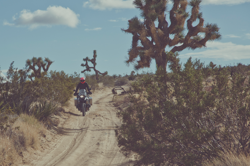 Illustration for article titled The Stunning Beauty Of A Winter Motorcycle Trip Into The Mojave Desert